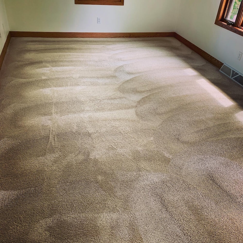 Why I Love The Grandi Groom Carpet Rake For VLM Carpet Cleaning - Free ...